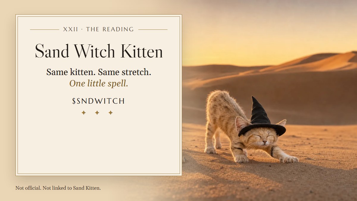 The Sand Witch Kitten share card: the kitten on the sand with the name and $SNDWITCH.